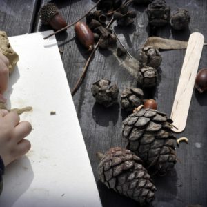 objet-nature-jouer