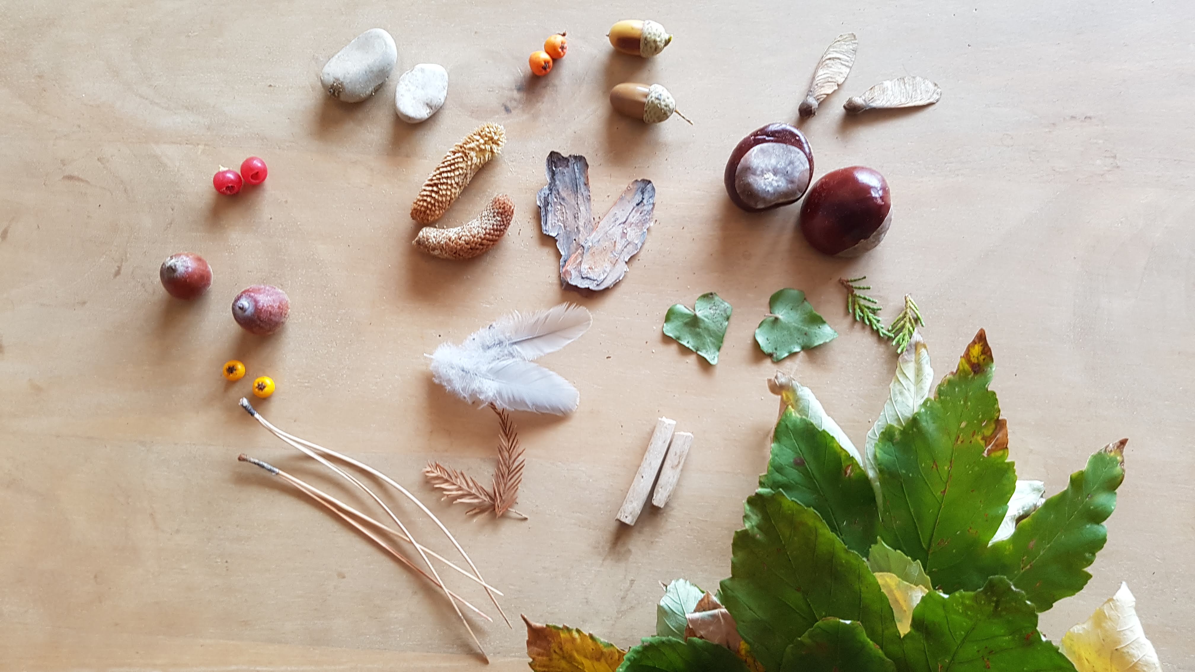 objet-nature